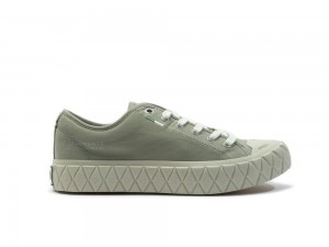 Abbey Stone Green Palladium PALLA ACE CANVAS Men Low Top Sneakers Israel | 91067-VSLZ