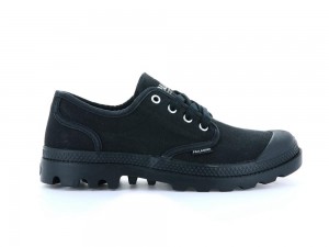 Black Palladium PAMPA OXFORD Women Low Tops Shoes Israel | 19365-ADHG