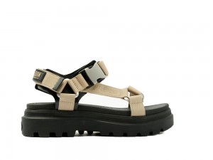 Dune Grey Palladium PALLACRUISE STRAP Women Sandals Israel | 04952-RVJM