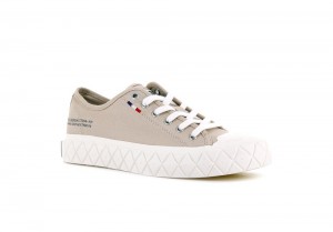 Nude Light Grey Palladium PALLA ACE CANVAS Women Low Tops Shoes Israel | 03298-UMQW