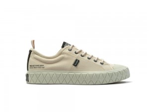 Sand Beige Palladium PALLA ACE LO SUPPLY Women Low Tops Sneakers Israel | 70314-YIZM