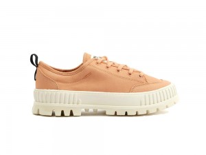 Sandstone Orange Palladium PALLASHOCK LO ORGANIC 2 Women Low Tops Sneakers Israel | 52460-TWJK