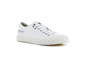 Star White Palladium PALLA ACE CANVAS Men Low Top Sneakers Israel | 96437-HJLK