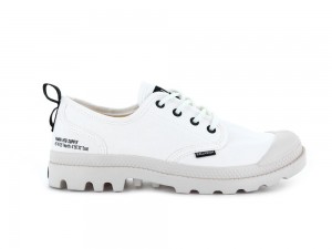 Star White Palladium PAMPA OX HTG SUPPLY Women Low Tops Shoes Israel | 18975-OIGB