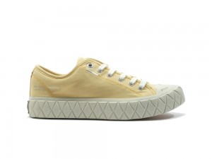 Sunshine Yellow Palladium PALLA ACE CANVAS Women Low Tops Shoes Israel | 97580-RYGK