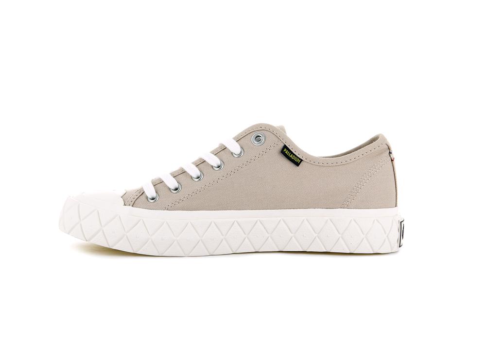 Nude Light Grey Palladium PALLA ACE CANVAS Women Low Tops Sneakers  Israel |  35416-MVIZ