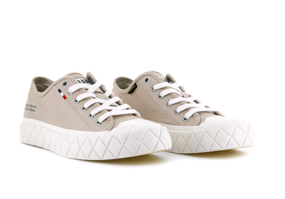 Nude Light Grey Palladium PALLA ACE CANVAS Women Low Tops Sneakers  Israel |  35416-MVIZ