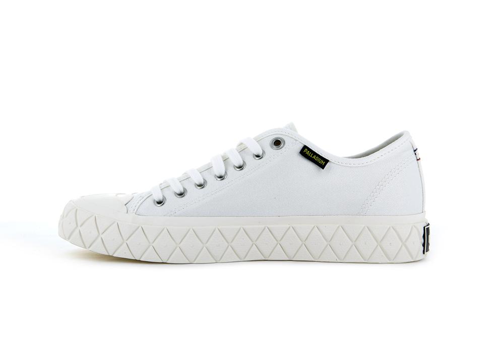 Star White Palladium PALLA ACE CANVAS Men Low Tops Shoes  Israel |  41768-KBNT